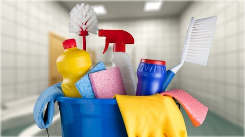 Cleaning reception and meeting spaces in a Waterloo office