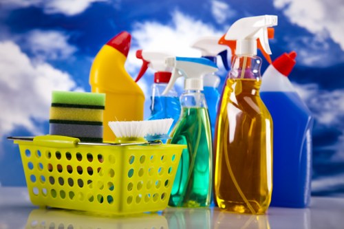 Waterloo cleaner service providing professional cleaning in a local home setting