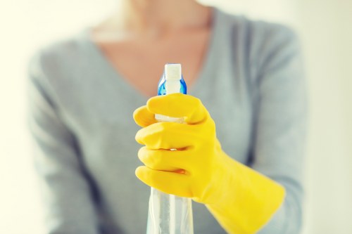 Preparation checklist for pet stain and odour cleaning in Waterloo