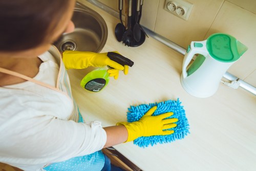 Deep cleaning equipment used for pet odour removal on upholstery