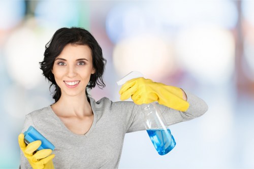 Professional deep cleaning service in a Waterloo home kitchen