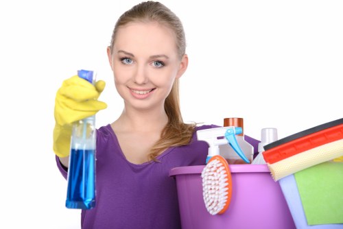 Detailed Waterloo cleaner working on surfaces and floors